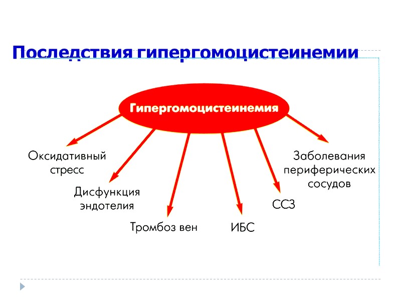 Последствия гипергомоцистеинемии В.В.Вельков, 2007